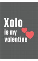 Xolo is my valentine: For Xolo Dog Fans