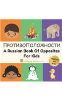 Russian Book Of Opposites For Kids