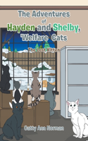 Adventures of Hayden and Shelby, 'Welfare Cats
