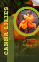 Canna Lilies: Flower overview and Growing Tips