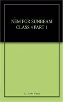 NEM FOR SUNBEAM CLASS 4 PART 1