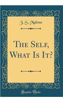 The Self, What Is It? (Classic Reprint)