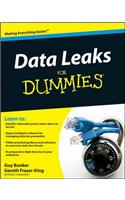 Data Leaks For Dummies