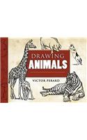 Drawing Animals