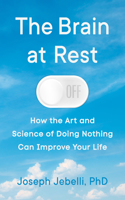 The Brain at Rest