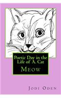 Poetic Day in the Life of A. Cat