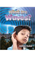 What Are Waves?: (Catch a Wave)