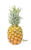 Notes: Fun Tropical Pineapple Cover on a Large Wide Lined Book