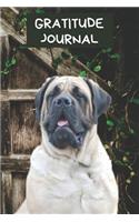 Gratitude Journal: English Mastiff Dog Diary for Recording Grateful Moments Motivational Writing Gift Notebook: Cute Dog Gratitude Book To Log & Track Your Daily Bless