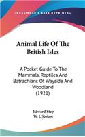 Animal Life of the British Isles: A Pocket Guide to the Mammals, Reptiles and Batrachians of Wayside and Woodland (1921)