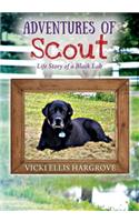 Adventures of Scout