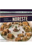 Pueblos Indígenas del Noreste (Native Peoples of the Northeast)