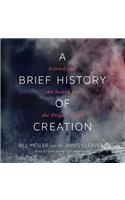 Brief History of Creation: Science and the Search for the Origin of Life
