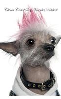 Chinese Crested Dog November Notebook Chinese Crested Dog Record, Log, Diary, Special Memories, to Do List, Academic Notepad, Scrapbook & More