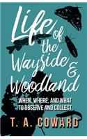 Life of the Wayside and Woodland
