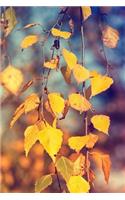 Yellow Leaves on a Birch Tree Journal: 150 Page Lined Notebook/Diary