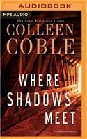 Where Shadows Meet