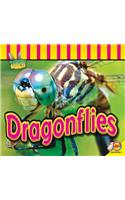 Dragonflies: (Fascinating Insects)