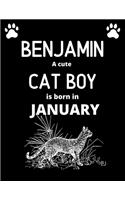 BENJAMIN a cute cat boy is born in January