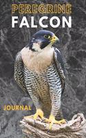 Peregrine falcon journal &Notebook 6