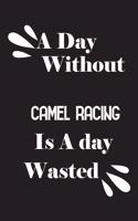 A day without camel racing is a day wasted