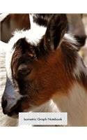 Isometric Graph Notebook: Awww Cute Goats Isometric 3D Graph Paper Notebook - 8.5 x 11 - 150 pages (75 sheets). Glossy Cover