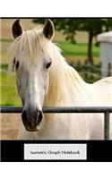 Isometric Graph Notebook: White Horse 3D Graph Paper Notebook - 8.5 x 11 - 150 pages (75 sheets). Glossy Cover.