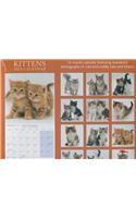 Kitten Portraites 2015 Wall Calendar 12x12