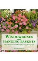 Windowboxes and Hanging Baskets