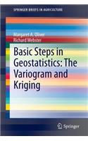 Basic Steps in Geostatistics: The Variogram and Kriging