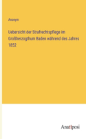 Uebersicht der Strafrechtspflege im Großherzogthum Baden während des Jahres 1852