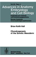 Chondrogenesis of the Somitic Mesoderm