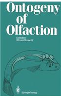 Ontogeny of Olfaction