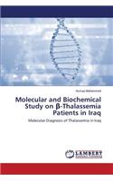 Molecular and Biochemical Study on &#946;-Thalassemia Patients in Iraq