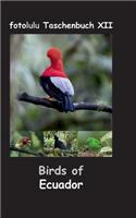 Birds of Ecuador