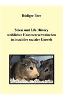 Stress und life History weiblicher Hausmeerschwein