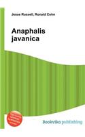 Anaphalis Javanica: (English)