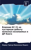 Влияние КС 21 на кустарную добычу полезных и&#