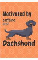 Motivated by caffeine and Dachshund