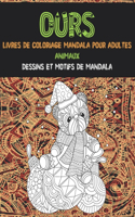 Livres de coloriage Mandala pour adultes - Dessins et motifs de mandala - Animaux - Ours