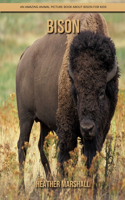 Bison