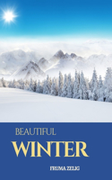 Beautiful Winter: An Adult Picture Book and Nature Photography with Facts about Winter Season in Large Print for Seniors, The Elderly, Dementia And Alzheimer's Patien