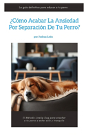 ¿Cómo acabar la ansiedad por separación de tu perro?