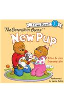 The Berenstain Bears' New Pup