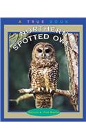 Northern Spotted Owls