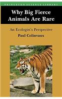 Why Big Fierce Animals Are Rare