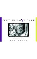 Why We Love Cats