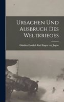 Ursachen Und Ausbruch Des Weltkrieges