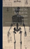 Théorie Du Squelette Humain