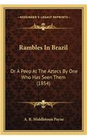 Rambles In Brazil